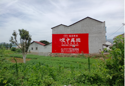  宝兴做墙体广告的意义
