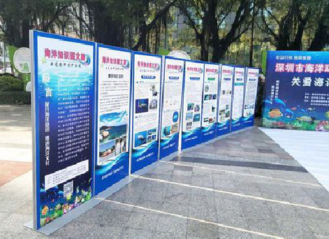  宝兴KT板的种类和知识。